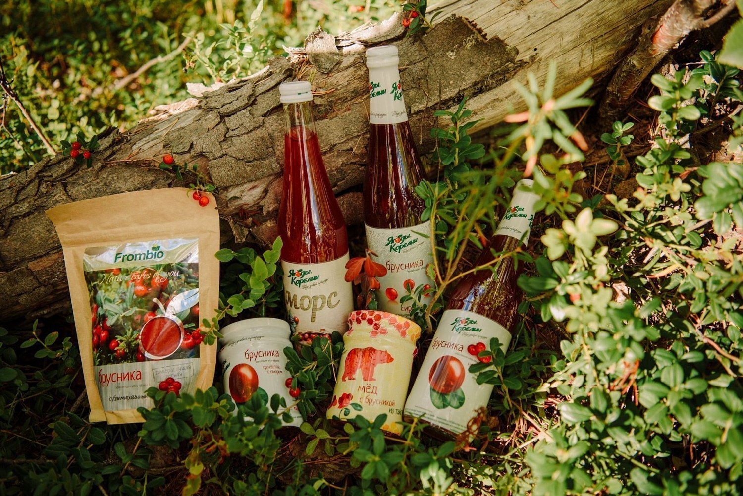 Ягоды Карелии